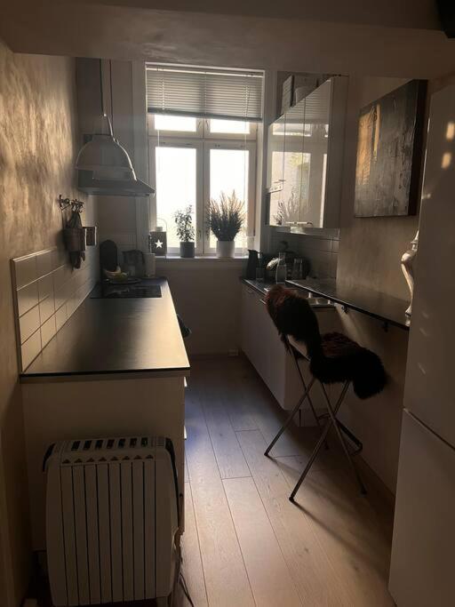Royal Neighbourhood Elegant Flat In Central Oslo Exterior foto